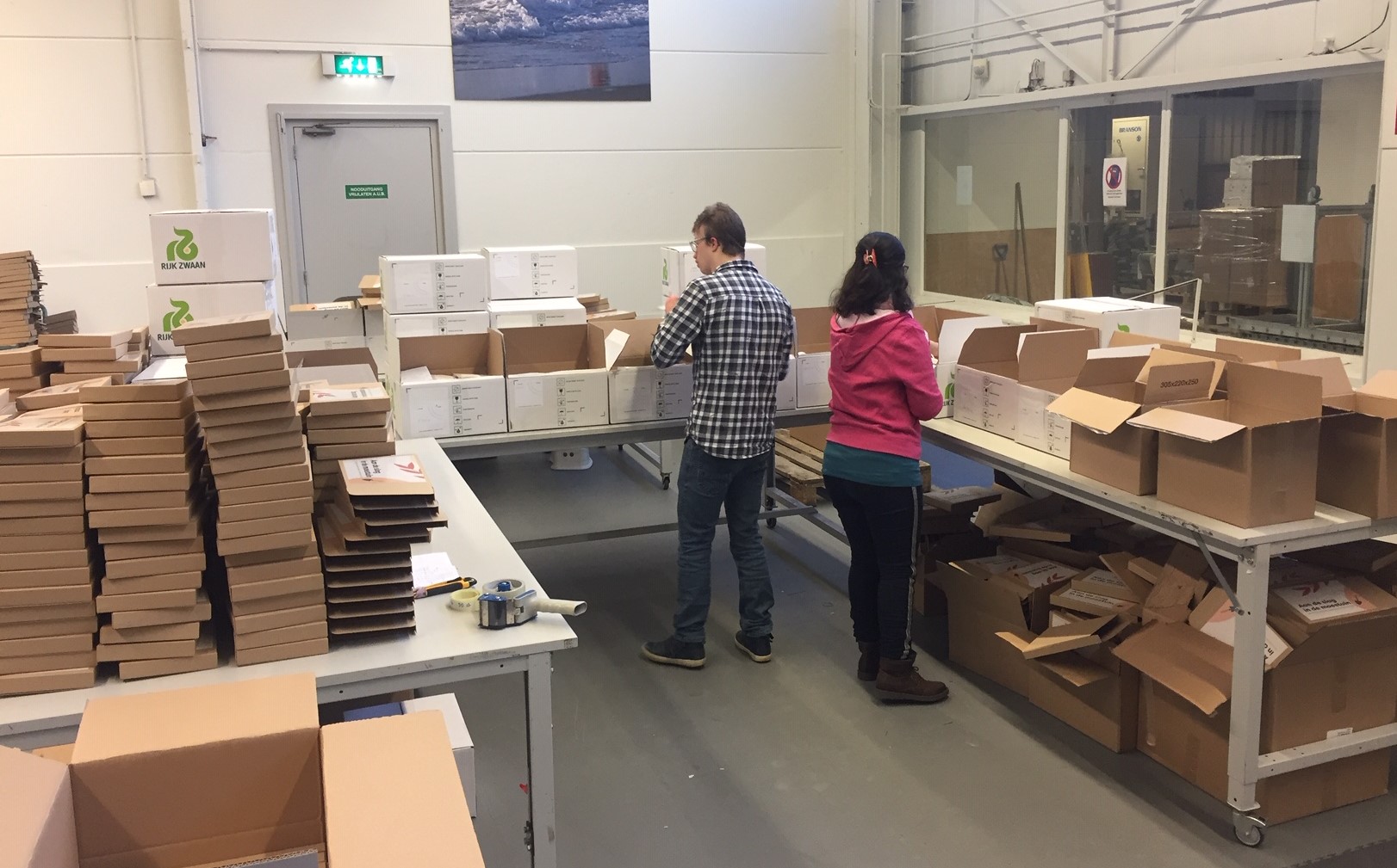 Zadenpakketjes van Rijk Zwaan aangevraagd door 3000 scholen en bso’s