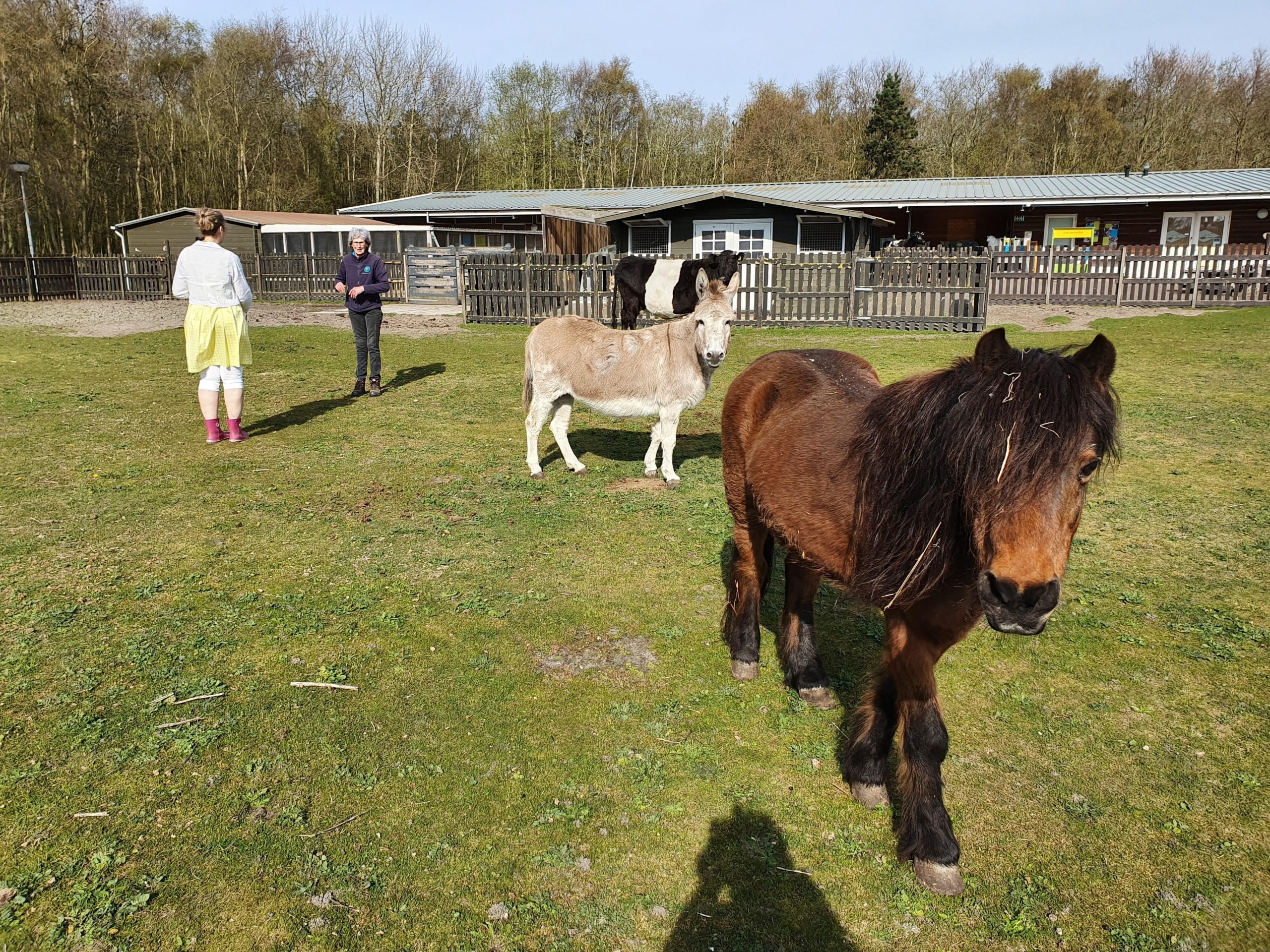 Coronamaatregelen voor NME-centra en kinderboerderijen