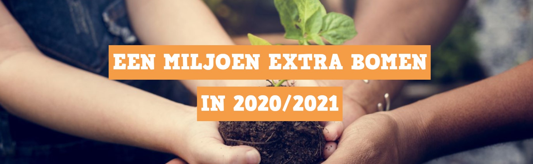 1 Miljoen gratis bomen en struiken uitdelen voor Meer Bomen Nu